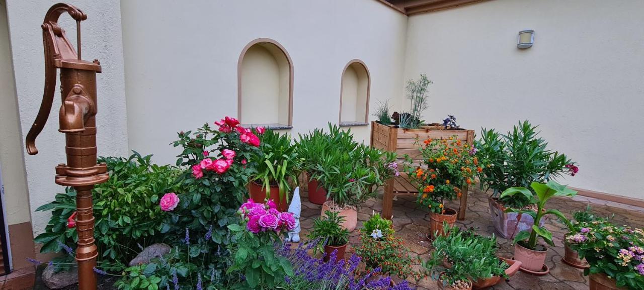 Die Ferienwohnung "Am Kietz" Schwedt  Exteriér fotografie